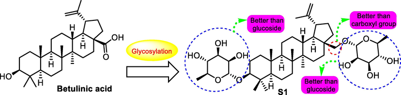 SAR study of betulinic acid analogue S1 as antitumor agent.