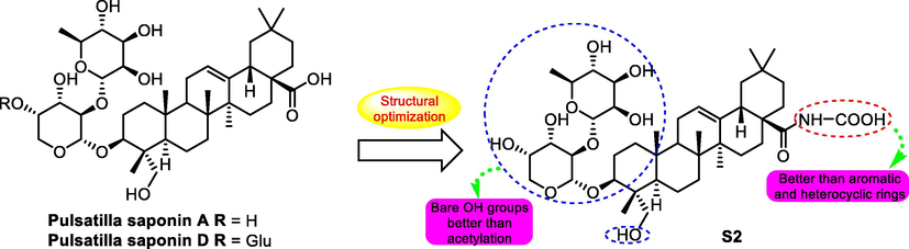 SAR study of pulsatilla saponin A and D analogue S2 as antitumor agent.