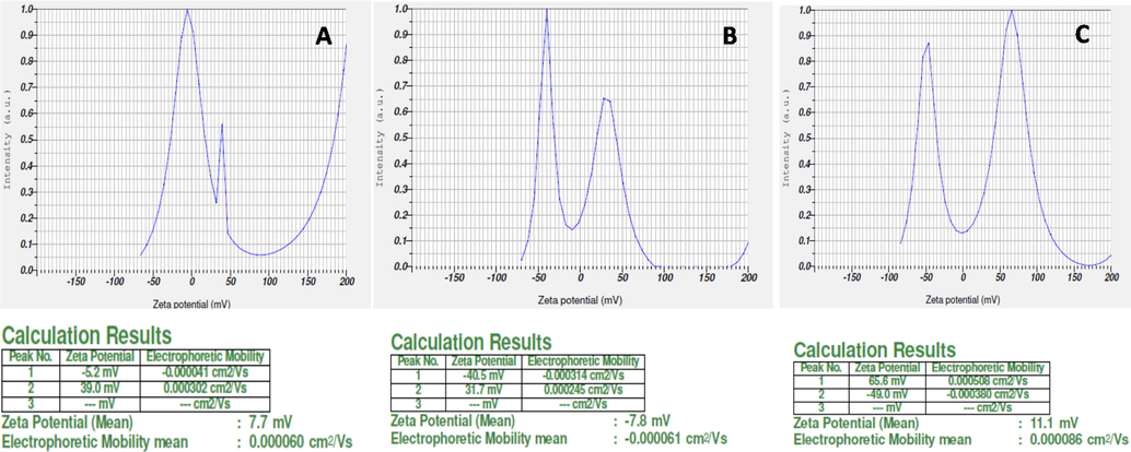 Zeta potential study of silver doped hydroxyapatite at different temperatures (A-50 °C, B-400 °C and C-800 °C).