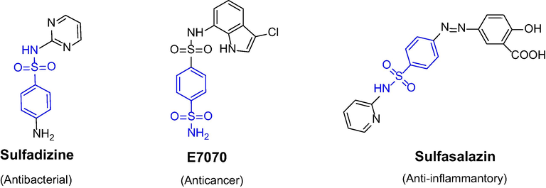 Structure of example sulphonamide drugs.