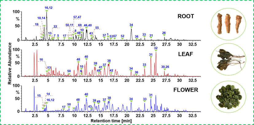 Base peak chromatograms of the representative PNR (PNR-1), PNL (PNL-1), and PNF (PNF-1) samples. The peaks unambiguously identified are annotated with the numbering consistent with that of Fig. 1.