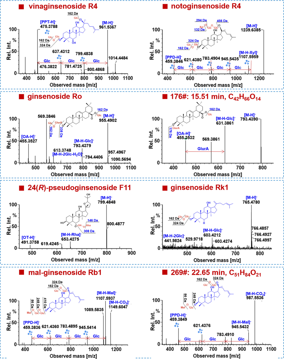 Automated annotation of the negative-mode HDMSE data of representative ginsenosides.