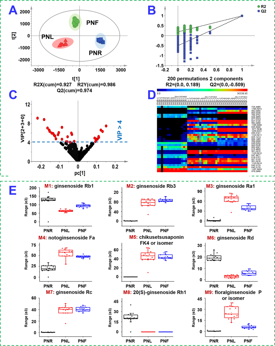 OPLS-DA of the multiple batches of three parts of P. notoginseng (PNR: the root; PNL: the leaf; PNF: the flower) based on the negative-mode HDMSE data. A: Score plot; B: permutation test; C: VIP plot; D: heat map of 33 differential ions among 45 batches of samples; E: the box charts of 9 most important potential ginsenoside markers.