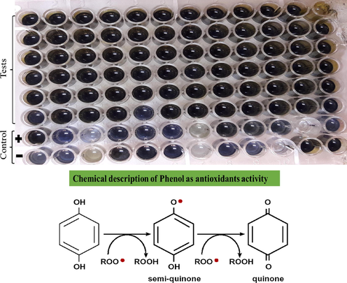 The blue colour show the presence of phenolics contents (Tadapaneni, 2010).