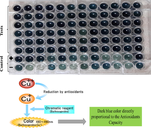 The dark blue colour show the activity of antioxidants compounds (https://www.jaica.com/e/products_antioxidant_pao_kit.html)