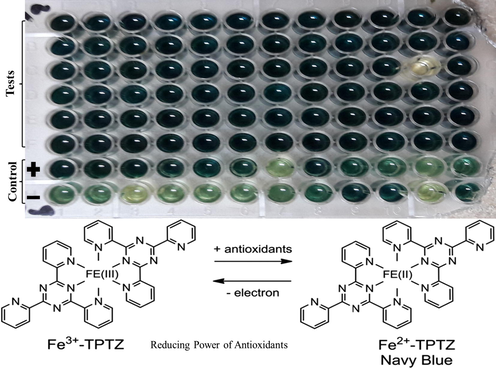 Navy blue colour is the indication of reducing power (Xiao et al., 2020).