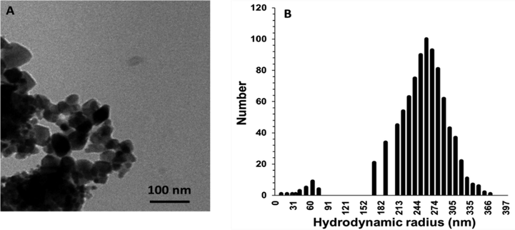 (A) TEM microraphs of synthesized SiO2 NPs through sonochemical methods. (B) The Hydrodynamic radius distribution of the SiO2 NPs determined by the DLS study.