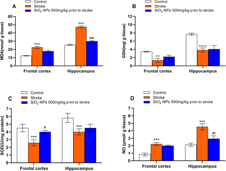 Effect of SiO2 NPs treatment on the oxidative stress factor. MDA (A) and NO (D) significantly increased, and GSH (B) and SOD (C) significantly decreased after stroke in the frontal cortex and hippocampus compared to the control group. (*** p < 0.001, **** p < 0.0001 one-way ANOVA test, post-hoc Tukey) (A) MDA was significantly decreased in the hippocampus of treated animals compared to untreated. (B) Treatment had no significant effect on GSH level in the frontal cortex and hippocampus. (C) SOD level was significantly increased in treatment compared to the untreated group. (D) The treated group had a significantly lower level of NO compared to the untreated group. (# p < 0.05, ## p < 0.01, ### p < 0.001, one-way ANOVA test).