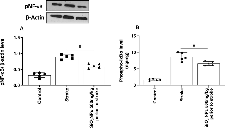 Effect of SiO2 NPs on expression of pNF-кB and Phospho-IкBα protein in western blot. pNF-кB (A) and Phospho-IкBα (B) protein expression level significantly decreased in treated animals (# p < 0.05, One-way ANOVA, post-hoc Tukey).