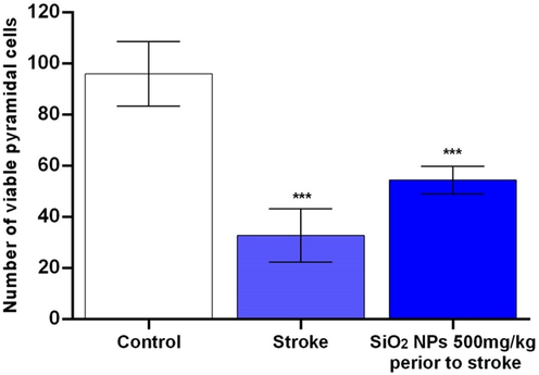 Effect of SiO2 NPs on number of CA1 pyramidal cells in rat models of ischemic/reperfusion injury in stroke *P-value ≤ 0.05, statistically different from control group. Data are mean ± SD.