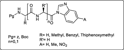 Amino acid/peptide-benzimidazole conjugates as potent antifungal compounds.