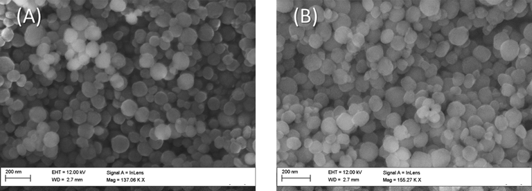 FESEM micrographs of the MSNs (A) and the ATA sensor (B).