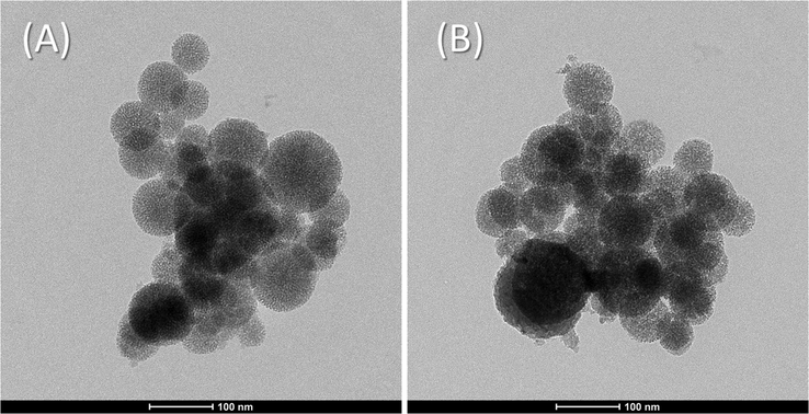 Representative HR-TEM images for the MSNs (A) and the ATA sensor (B).