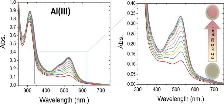 Observed concentration-proportionate color transition profiles and concentration-dependent changes in the absorbance spectra of 20 mg ATA sensor in 10 mL solution containing several concentrations of Al(III) ions at pH 4.0 and stirring at 25 °C.