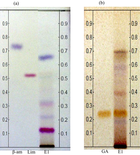 Chemical profile via HPTLC. Chromatoplate analysis, visualized in white light. (a) TLC plate, β- amirine (β-am), 7-deacetoxy-7-oxogedunine (Lim) and C. guianensis hydrolyzed extract (E1); derivatized with VSA reagent. (b) TLC plate, gallic acid (GA) and C. guianensis hydrolyzed extract (E1), derivatized with FBS reagent.