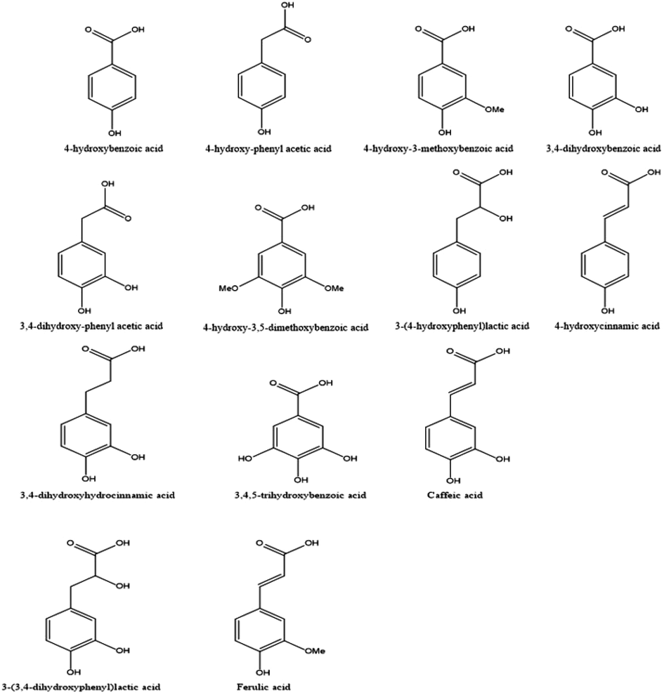 Simple phenolic acids structures characterized in the C. guianensis hydrolyzed extract via GC–MS.