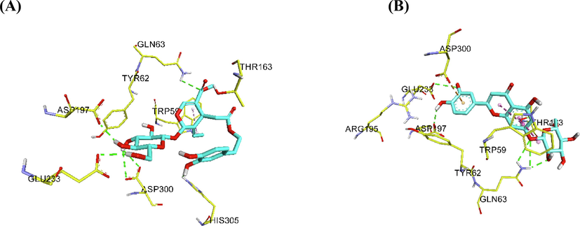 Ligand – protein interactions for A) oleuropein B) cynaroside.