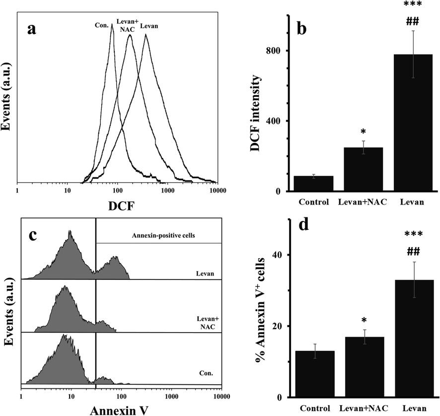 Generation of ROS and induction of apoptosis in HT-29 cells treated with either levan (8.97 mg/mL) or combination of levan (8.39 mg/mL) and NAC (20 µM) for 24 hrs. Representative histogram of flow cytometry analysis of ROS by DCFH-DA (a). Quantitative analysis of generation of ROS (b). Representative histograms of flow cytometry analysis of apoptosis induction measured by Annexin-V staining (c). Quantitative analysis of Annexin-V+ cells (d). *P < 0.05, *** P < 0.001 vs. control. ##P < 0.01 vs. Levan + NAC-treated cells. (The data were obtained based on the methods described in sections 2–5 and 2–6). Abbreviation: DCF; dichlorofluorescein.