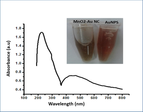 UV–VIS spectrum of MnO2-Au NC.