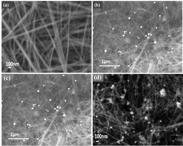 FE-SEM analysis, (a) MnO2 nanofibers and (b-d) MnO2-Au NC.