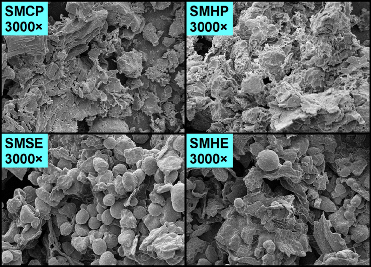 Scanning electron micrographs of the various meals remaining after various oil extraction methods. SMCP, SMHP, SMSE, and SMHE represent meals obtained from sunflower seeds by cold pressing, hot pressing, subcritical ether and traditional hexane extraction methods, respectively.