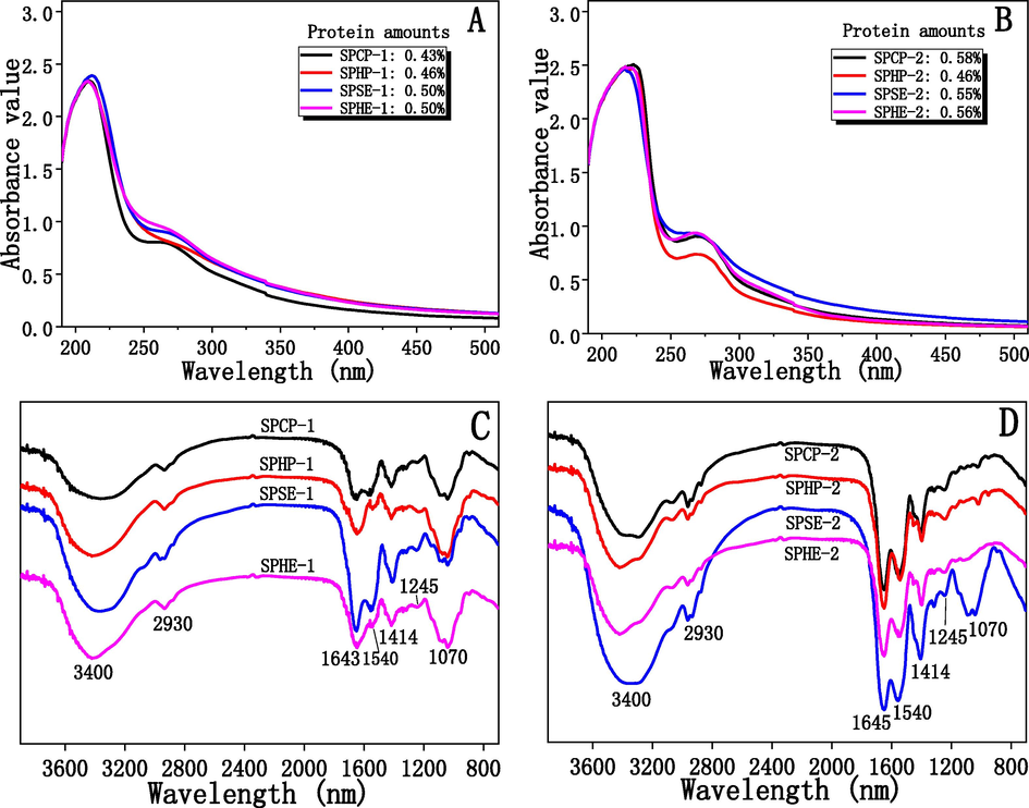 UV spectra (A and B) and FT-IR spectra (C and D) of the polysaccharides isolated from sunflower meals remaining after various oil extraction methods.