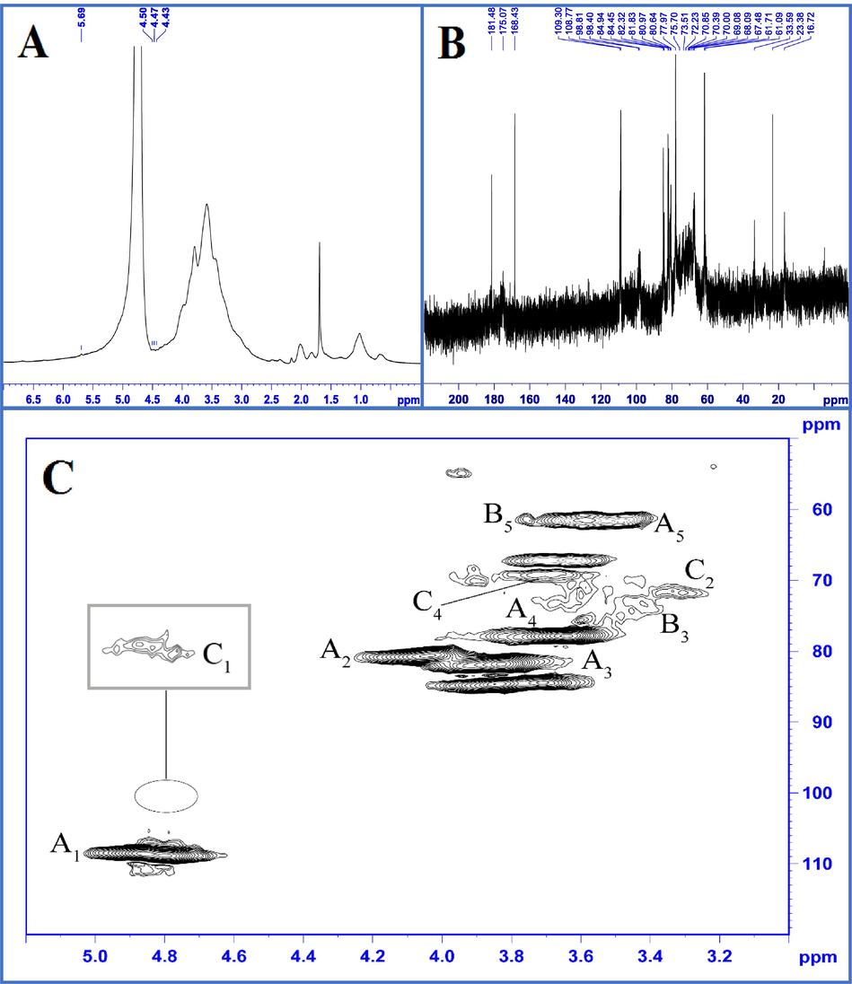 1H, 13C, and 1H–13C HSQC NMR spectra of SPHE-1: (A) 1H NMR spectra of SPHE-1; (B) 13C NMR spectra of SPHE-1; (C) 1H–13C HSQC spectra of SPHE-1; A: α-L-arabinofuranosyl; B: β-1,3,4-linked Xylp; C: β-T-linked Xylp.