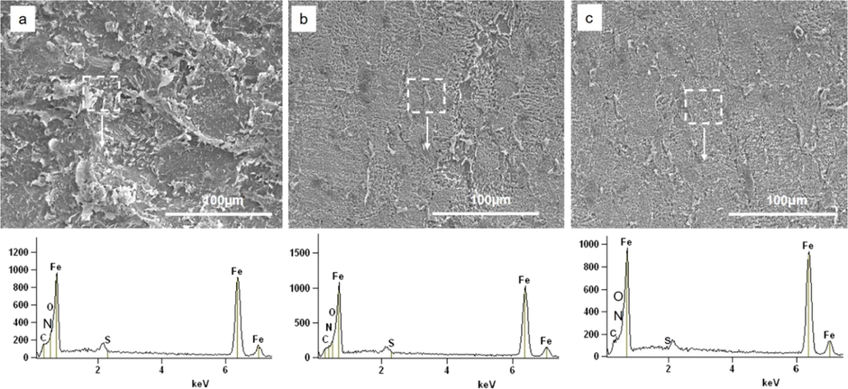 SEM images and corresponding EDX spectra of mild steel specimen after 24 hrs immersion in (a) 1.0 M H2SO4 (b) 400 ppm berberine solution in 1.0 M H2SO4 (c) 1000 ppm berberine solution in 1.0 M H2SO4.