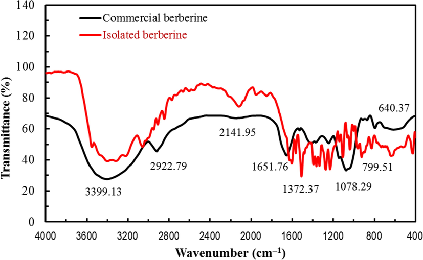 Comparison of FTIR spectra of commercial berberine and isolated berberine.