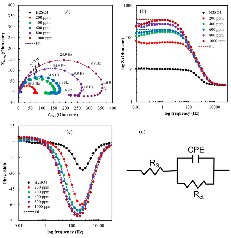 (a) Nyquist plots for mild steel in 1.0 M H2SO4 without and with berberine of different concentrations, (b) Bode plots for mild steel in 1.0 M H2SO4 without and with berberine of different concentrations, (c) Bode plots of phase angle vs. frequency for mild steel in 1.0 M H2SO4 without and with berberine of different concentrations, and (d) the equivalent circuit model used to fit the impedance spectra.