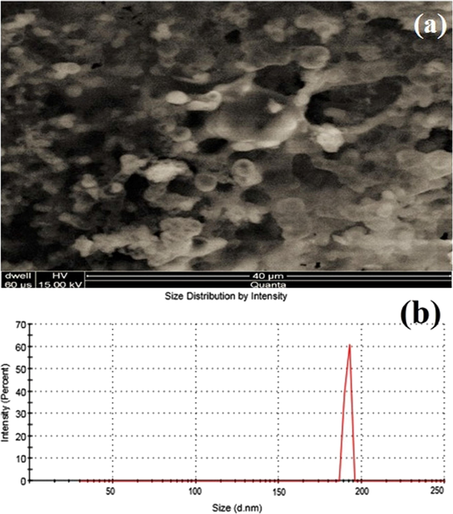 Scanning electron micrographs of ondansetron-loaded NLCs (a), size, and polydispersity graph of F5 (b).