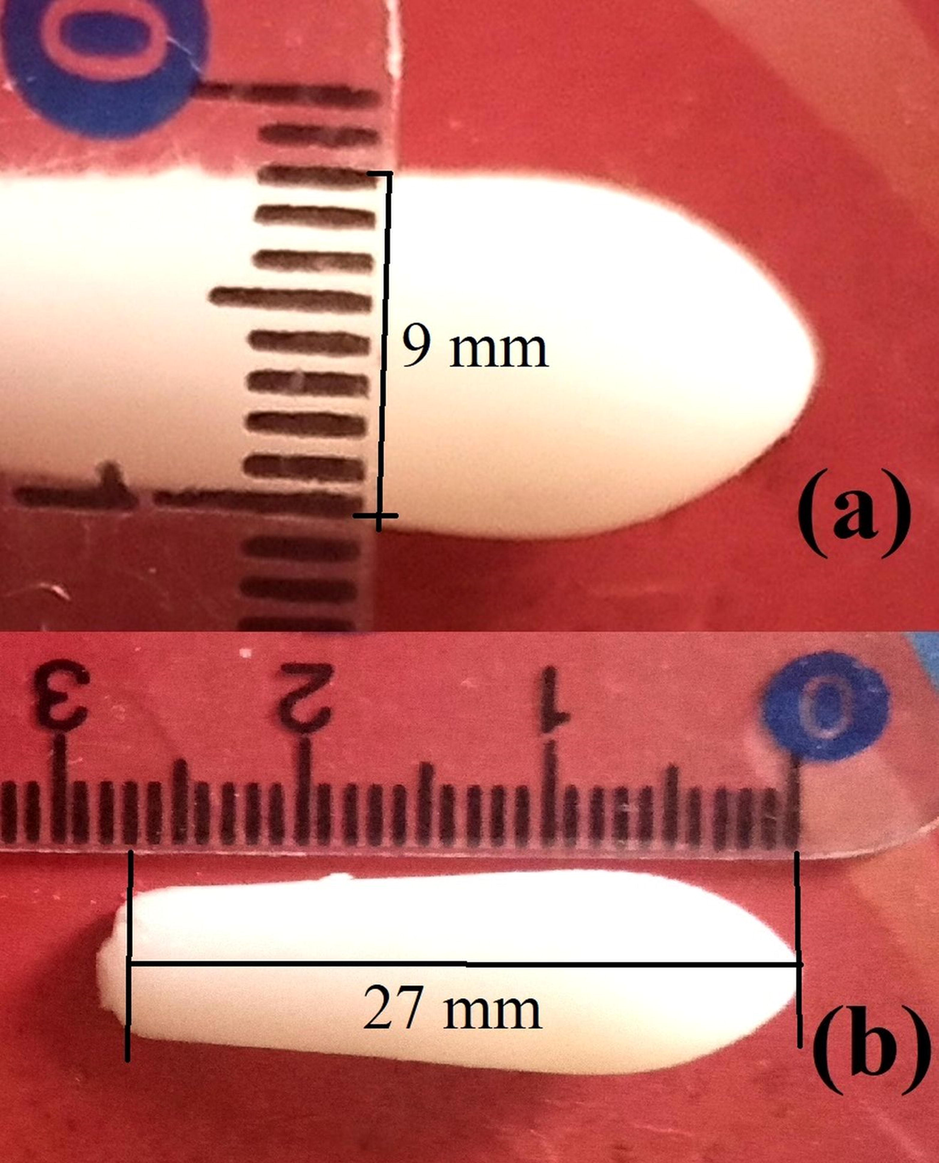 Optical image of NLC based rectal suppositories of ondansetron with scale.