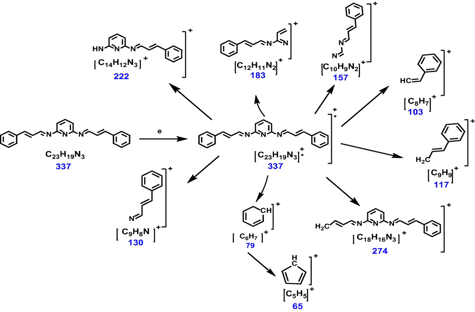 Schematic of the fragmentation pattern of Schiff base ligand.