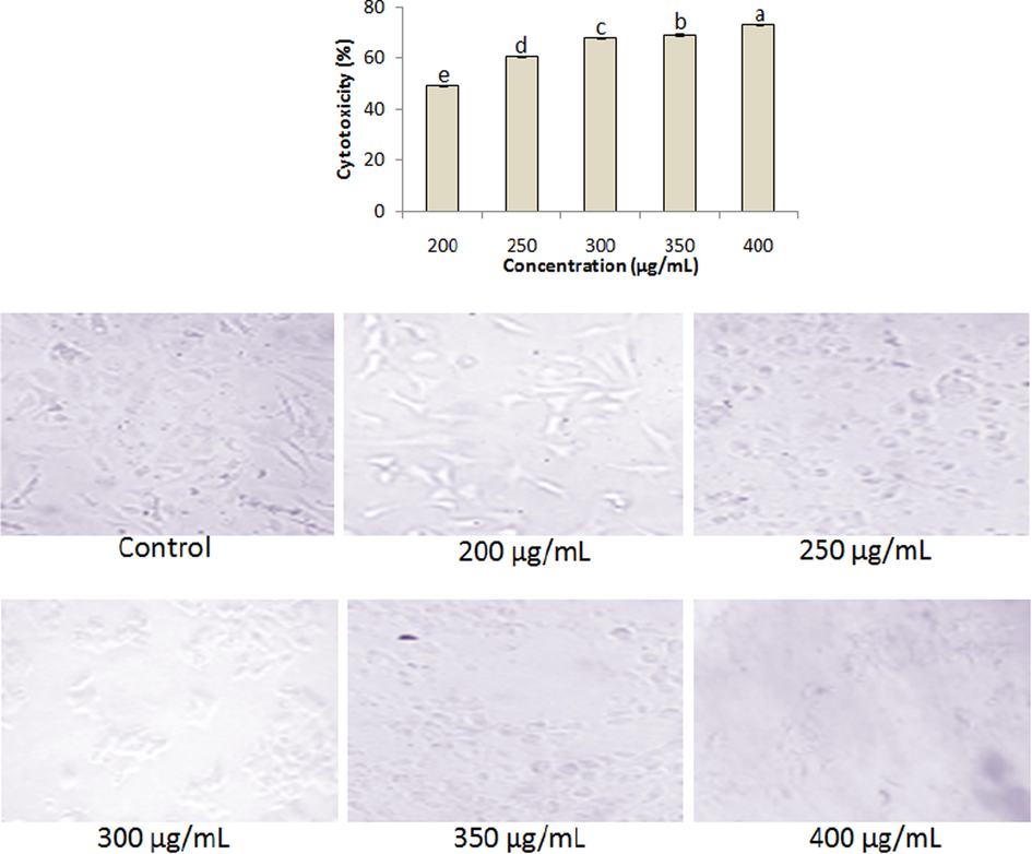 Anticancer activities of ethanolic extract at varied concentrations (200–400 µg/mL). Data represent mean ± SD. abcdeValues with different superscript letters are significantly (P < 0.05) different.