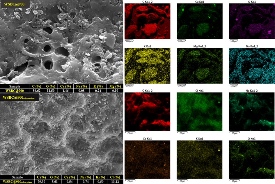 Scanning Electron Microscopy and energy-dispersive X-ray analysis of the biochar pyrolyzed at 900 °C and the chlorpyrifos sorbet on the biochar pyrolyzed at 900 °C.