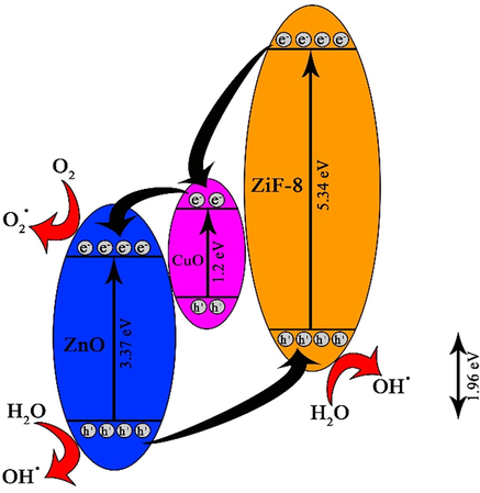 Schematic between charge generation and transfer for CuO-ZnO/ ZiF-8 (20).