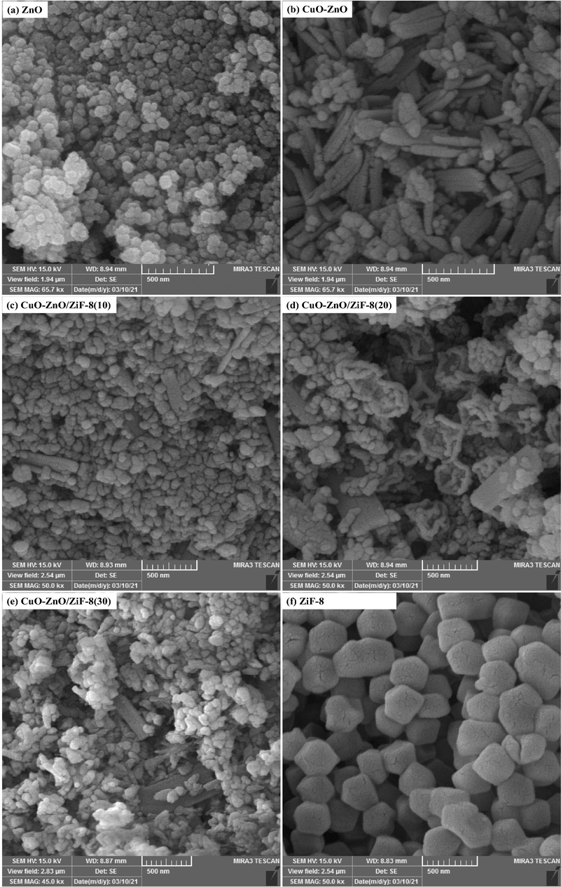 FESEM images of CuO-ZnO/ZiF-8 photocatalysts: (a) ZnO, (b) CuO-ZnO, (c) CuO-ZnO/ZiF-8 (10), (d) CuO-ZnO/ZiF-8 (20), (e) CuO-ZnO/ZiF-8 (30), and (f) ZiF-8.