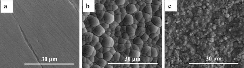 SEM morphological images of (a) CS, (b) NiP, and (c) NiP-TiNi NCC before incubation.