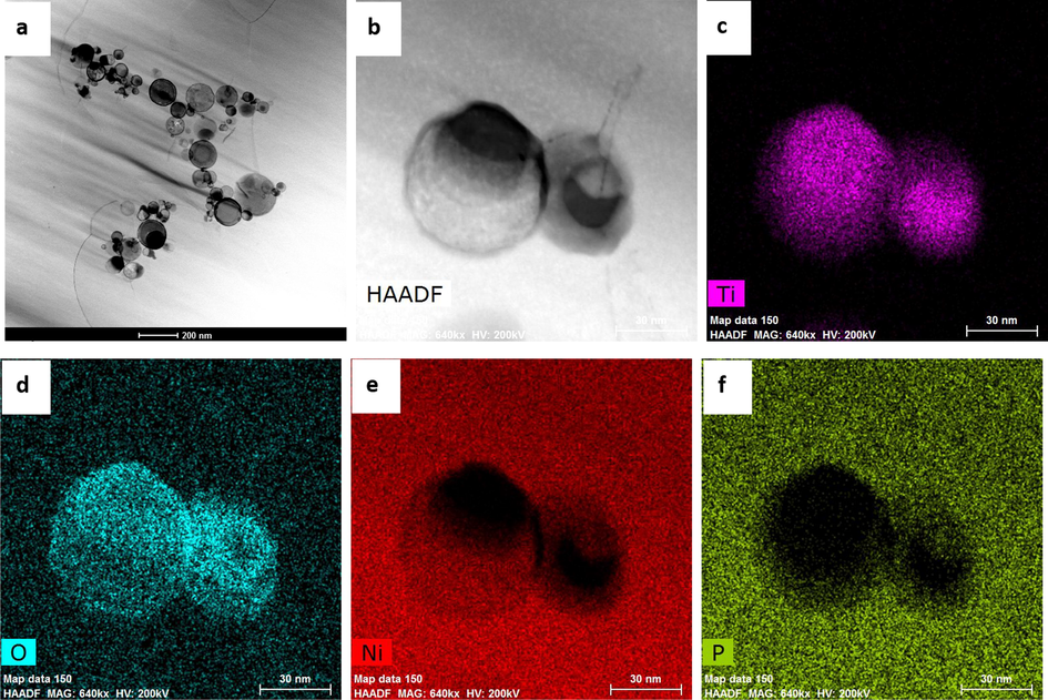 TEM (a and b) HAADF micrographs for the surface of the NiP-TiNi NCC, and EDS mapping for (c) Ti, (d) O, (e) Ni and (f) P present in the coating matrix.