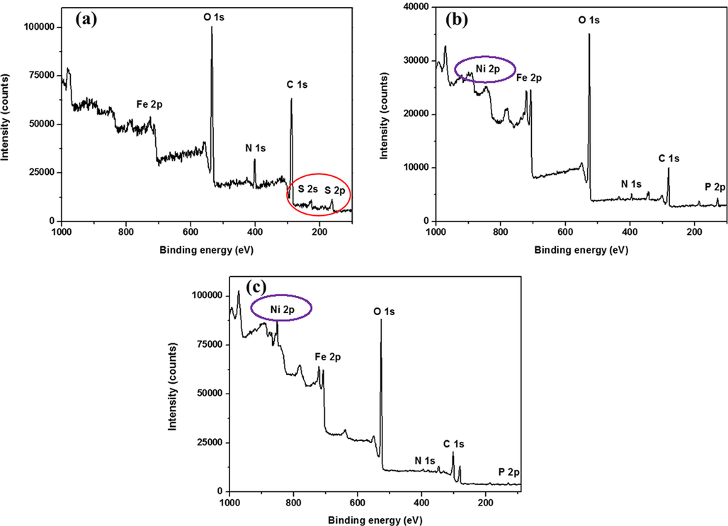 Full XPS survey for SRB (a) CS, (b) NiP and (c) NiP-TiNi. Coupons after 28 days of incubation in SRB.