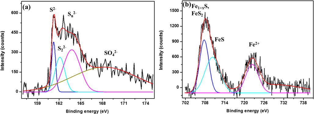 High-resolution spectra of (a) S 2p and (b) Fe 2p for CS coupon surfaces after 28 days of incubation with SRB.