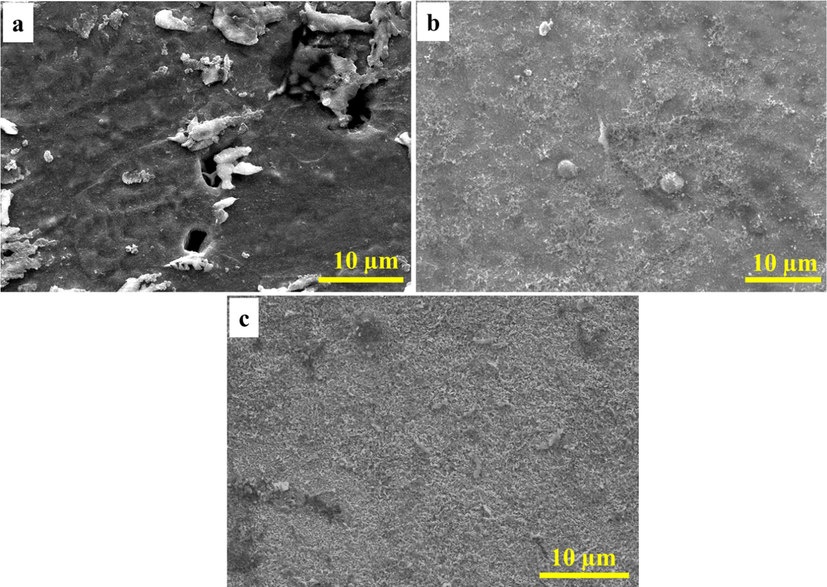 SEM images of the coupon surfaces after removing the biofilm and corrosion products. (a) CS, (b) NiP and (c) NiP-TiNi.