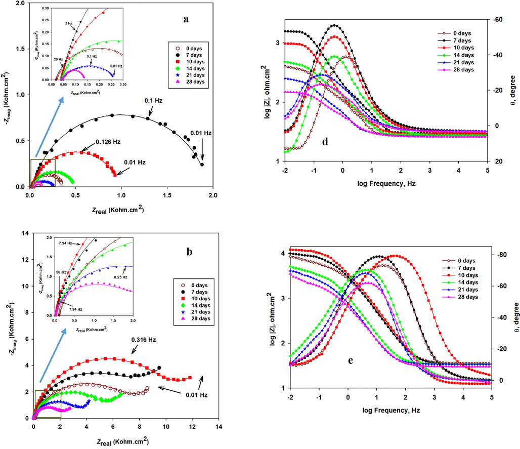 The Nyquist (a-c) and Bode module |Z| and phase angle plots (d-f) of incubated CS, CS/NiP, and CS/NiP-TiNi coatings, respectively, incubated with SRB for different bacterial growth and tested in simulated seawater at room temperature. The inset in a, b and c are the enlargements of the low impedance regions.