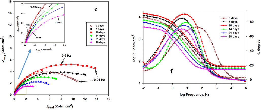 The Nyquist (a-c) and Bode module |Z| and phase angle plots (d-f) of incubated CS, CS/NiP, and CS/NiP-TiNi coatings, respectively, incubated with SRB for different bacterial growth and tested in simulated seawater at room temperature. The inset in a, b and c are the enlargements of the low impedance regions.