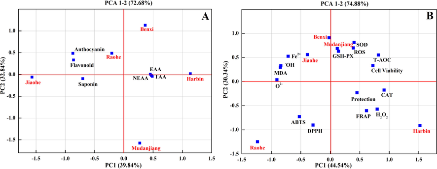 Principal component analysis characterization (PC1 vs PC2) of Aralia elata (Miq.) Seem. fruit origin using the phytochemical compounds (A, 16 variables) and antioxidant-related index (B, 15 variables). EAA: Essential amino acids; NEAA: Non-essential amino acid ; TAA: Total free amino acids; Cell Viability: Cytotoxicity of AE fruits extracts in HEK293 cells; Protection: Protection against H2O2-oxidative stress; CAT: the activity of catalase; SOD: the activity of superoxide dismutase; GSH-Px: the activity of glutathione peroxidase; T-AOC: the total antioxidant capacity; MDA: the malondialdehyde levels; ROS: the production of reactive oxygen species; DPPH: the DPPH. free radical scavenging ability; ABTS: the ABTS.+ radical scavenging activity; FRAP: the ferric reducing antioxidant power; Fe2+ : the ferrous ion-chelating ability; H2O2: the H2O2 levels.