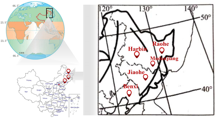 Map of the location of harvest of Aralia elata (Miq.) Seem fruits.