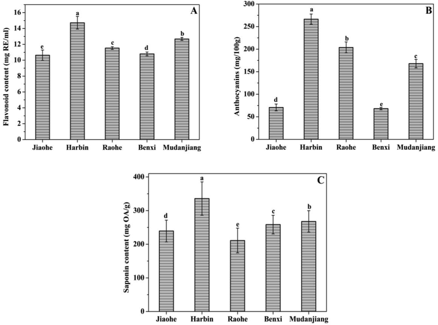 Flavonoid (A), Anthocyanins (B), and Saponin (C) content of Aralia elata (Miq.) Seem fruits. Vertical bars indicate mean values ± SD. The different letters within each column indicate significant differences at p < 0.05.