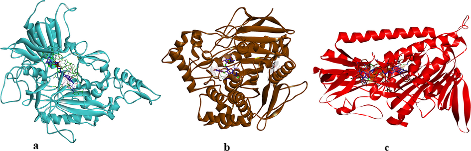 The complexes between AChE, BChE, and GST with their inhibitors.