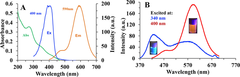 (A) Absorption, excitation and emission spectra of red PCDs in aqueous solution. The emission spectrum excited at 400 nm. (B) Emission spectra of blue PCDs (excited at 340 nm) and red PCDs (excited at 400 nm).