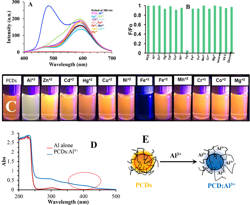 (A) & (B) Effect of metal ions on PCDs solution when exited at 400 nm. (C) Digital photograph showing the effect of metal ions on PCDs solution. (D) Abortion spectra of PCDs:Al3+ and Al3+ ions alone. (E) Illustration of the fluorescence enhancement with hypsochromic shift upon addition of Al3+ ions.